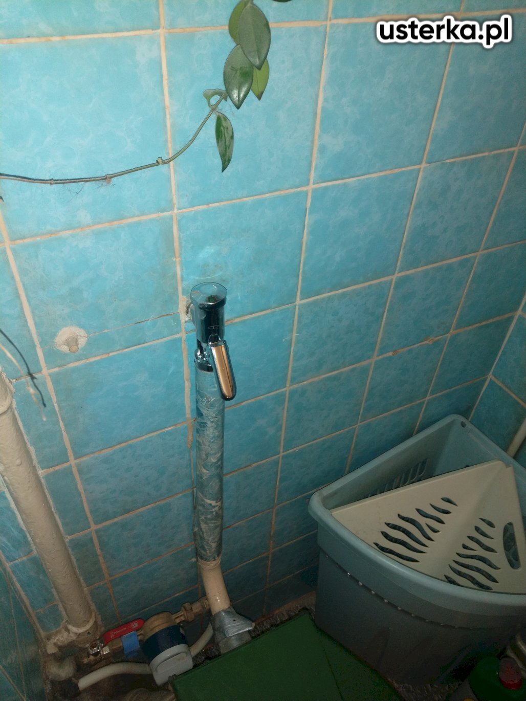 Zdjęcie z realizacji