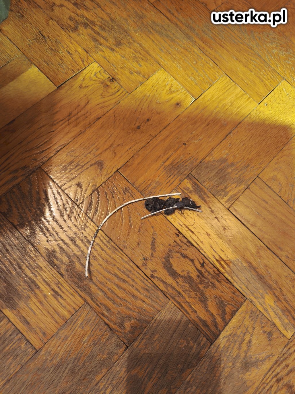 Usunięto fiszbinę z bębna pralki Amica, co wyeliminowało stukanie podczas pracy urządzenia.