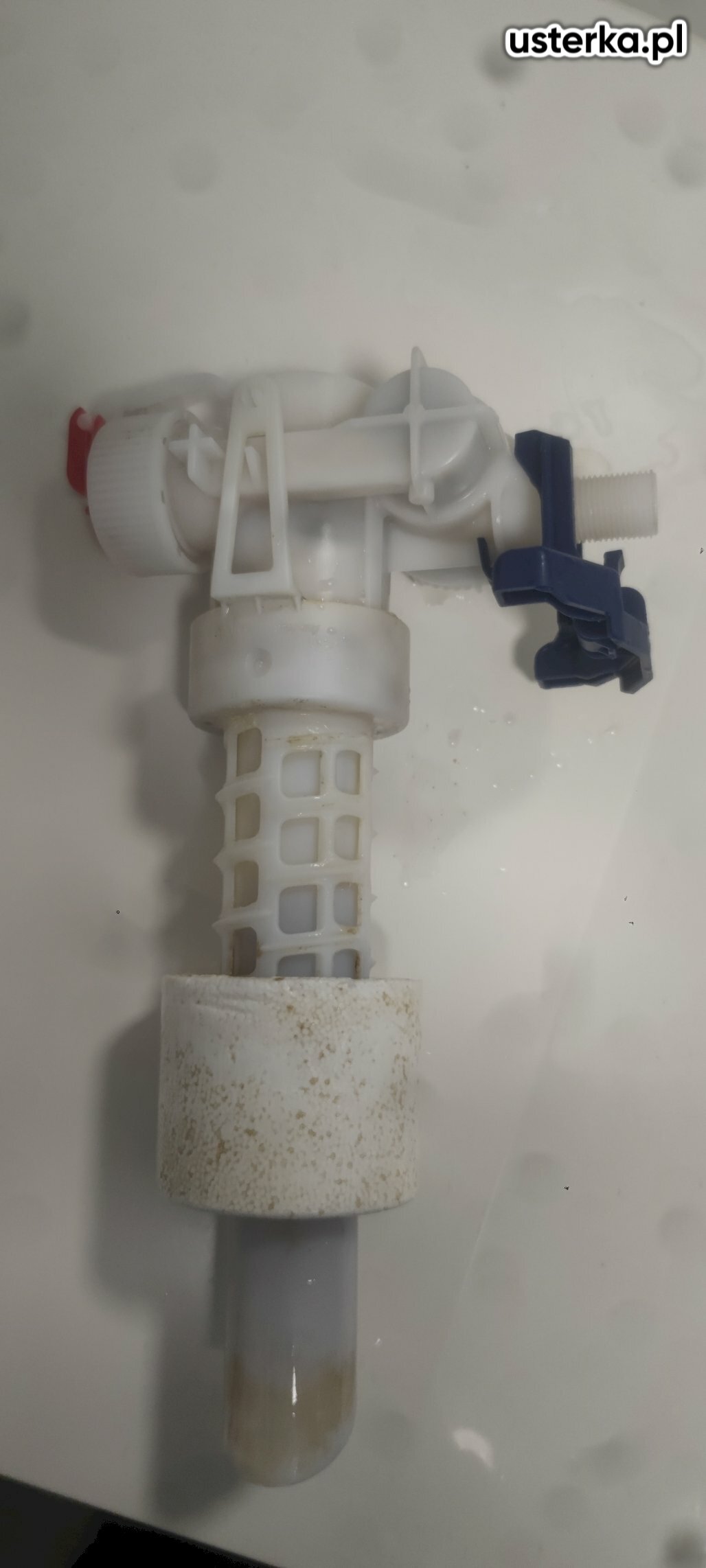 Hydraulik Sopot