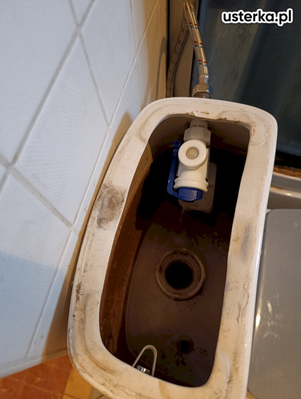 Demontaż i ponowny montaż zbiornika WC. Czyszczenie zaworu napełniającego, wymiana zaworu spustowego oraz śrub mocujących zbiornik.