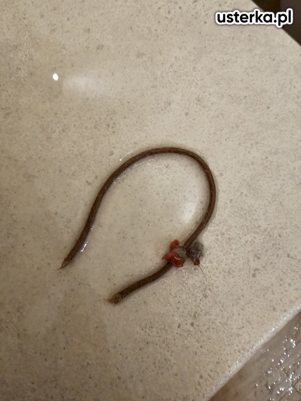 Zablokowana pompa odpływowa została przyczyną problemów z odpompowywaniem wody w pralce marki Candy. W wirniku pompy znaleziono gumkę do włosów, która zakłócała jej działanie. Po usunięciu obcego przedmiotu urządzenie zostało przywrócone do prawidłowego funkcjonowania.