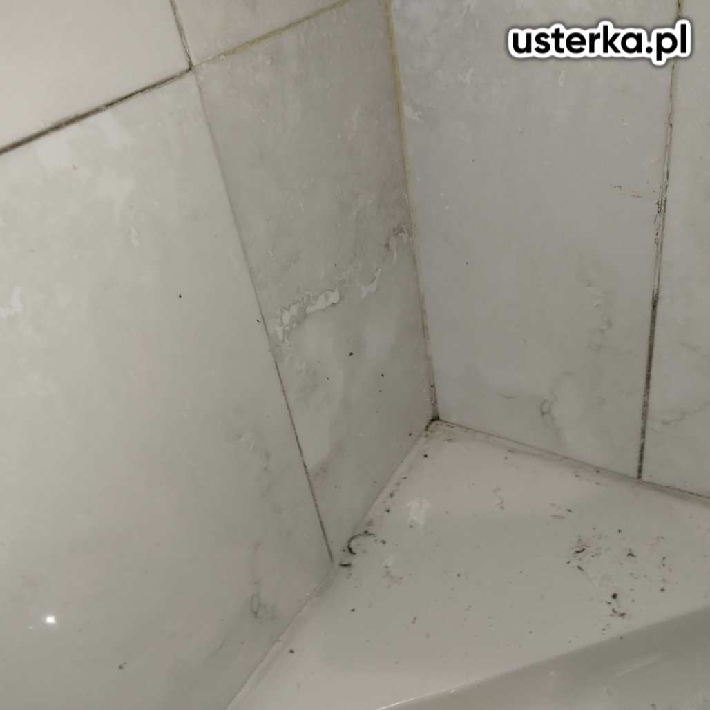 Zdjęcie z realizacji