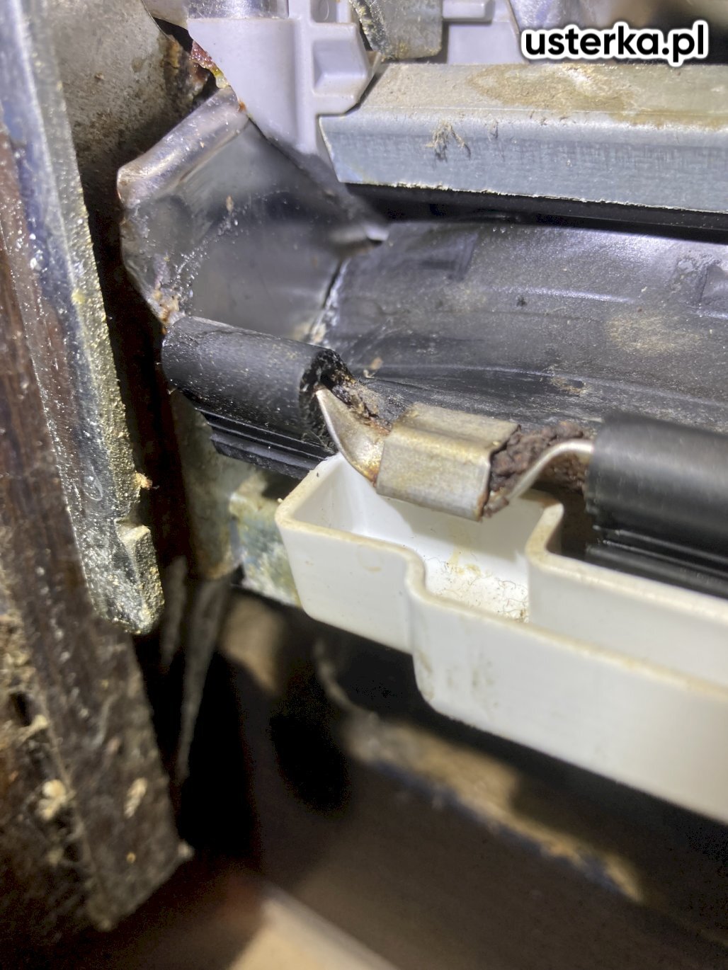 Po diagnostyce stwierdzono częściowe uszkodzenie i skurczenie uszczelki zmywarki. Dodatkowo koszyk środkowy jest niestabilny i przesuwa się.