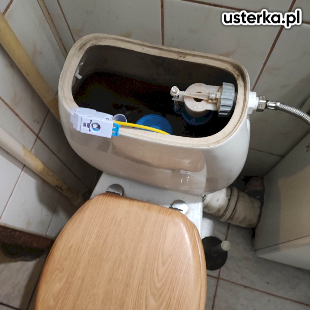 Zdjęcie z realizacji