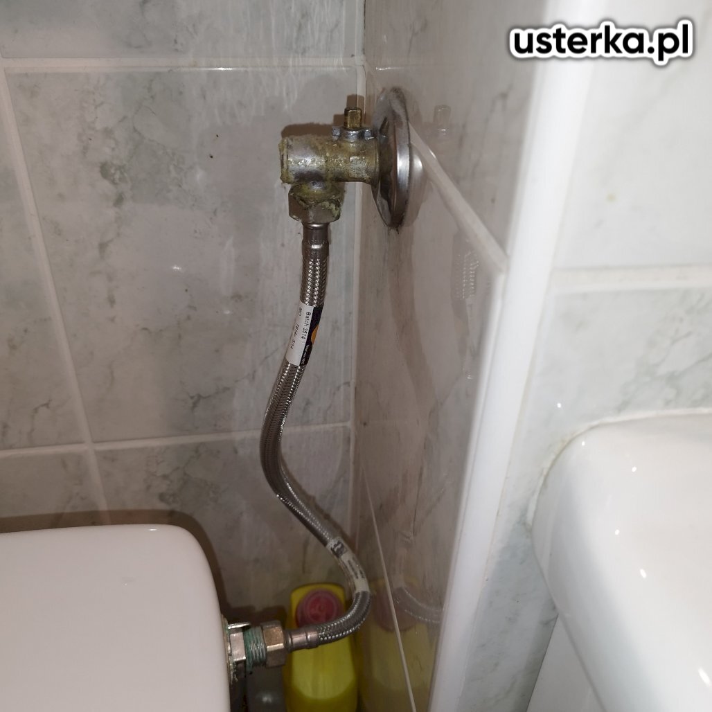 Zdjęcie z realizacji